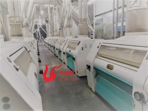 large maize milling machine