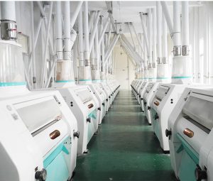 wheat semolina milling line