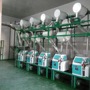 maize milling plant