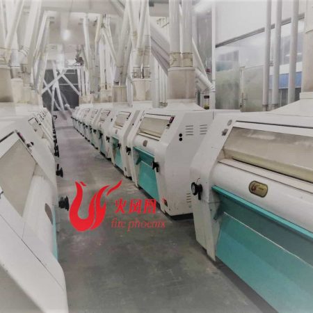 maize production line
