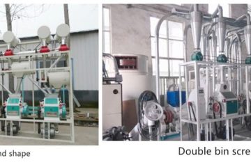 15ton flour milling plant