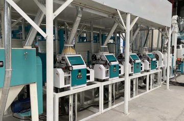20TPD maize flour milling machine