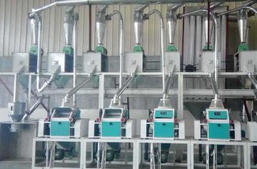 20ton maize processing machine