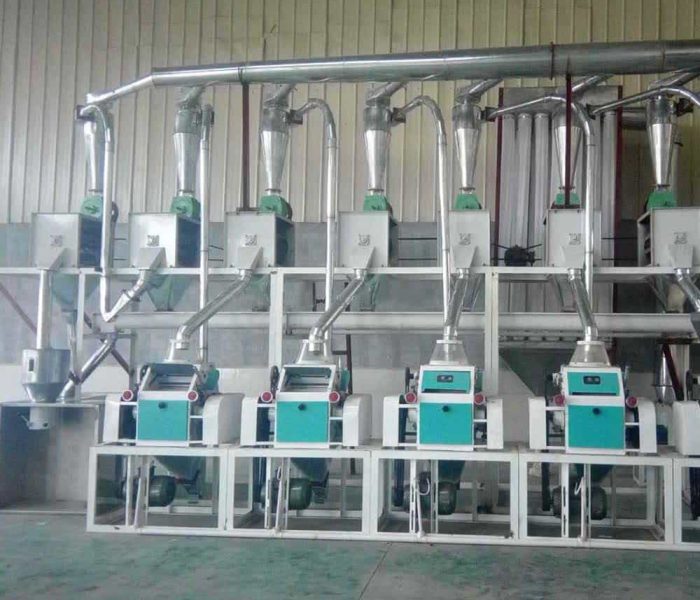 20ton maize processing machine