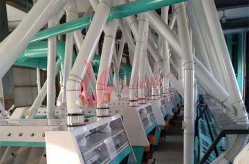 300tpd wheat mill production line