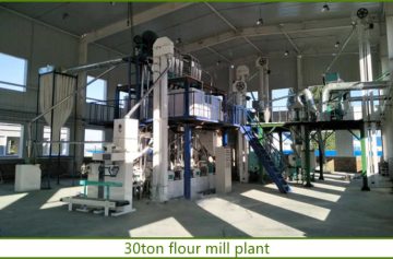 30ton flour mill plant