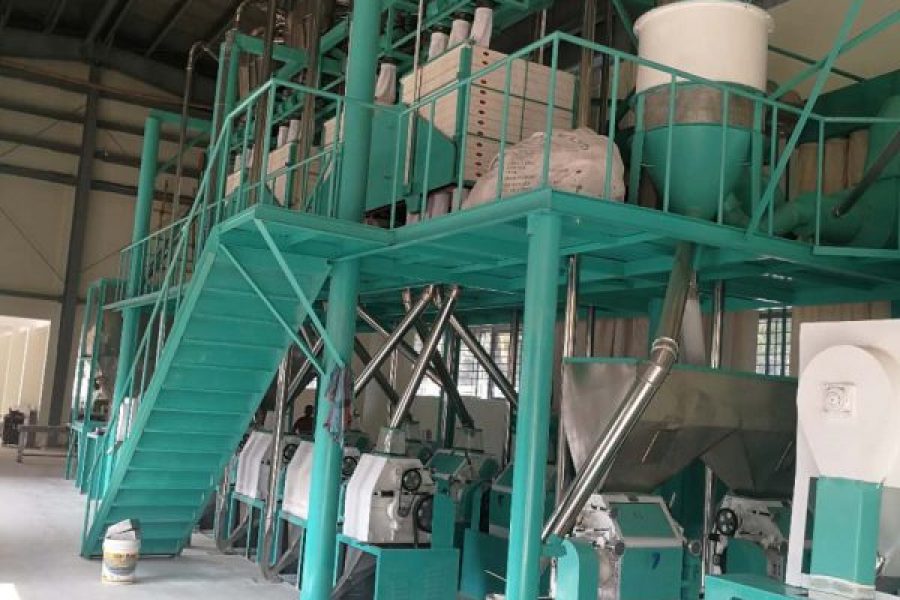 50tpd maize flour mill
