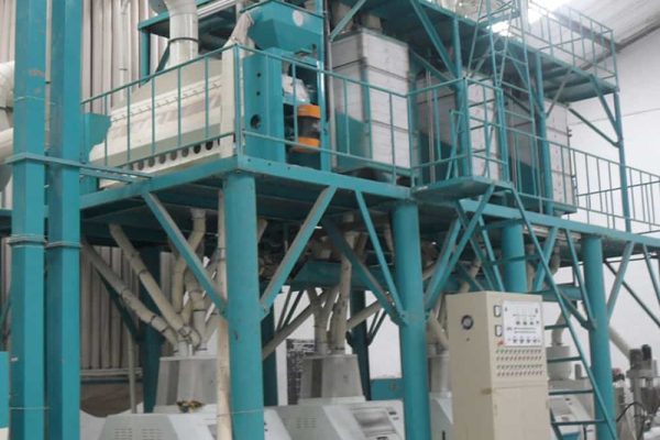 50tpd maize processing plant