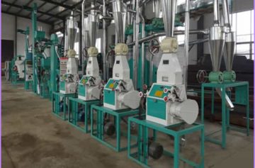 20tpd maize processing equipment