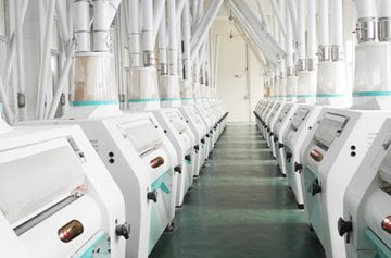 FMFQ flour mill