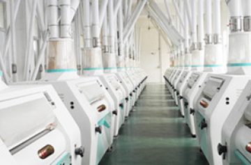 FMFQ flour mill