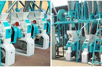 Wheat Flour Milling Section