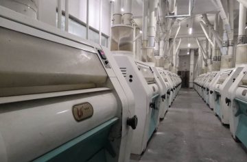 automatic flour mill mini plant