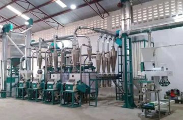 maize flour mill business