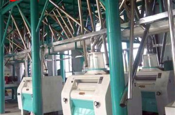 wheat roller flour mill